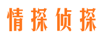 岷县市婚姻调查